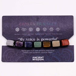 Pulsera de Chakras Piedras Púlidas - Pulsera de...