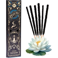 Ritual de Purificação de Incenso Jardins...