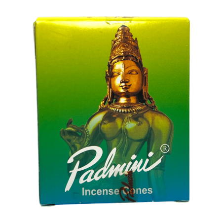 Cons d'Incienso PADMINI Caixa Verda Incense Cones - Caixeta de 12 cons d'incís