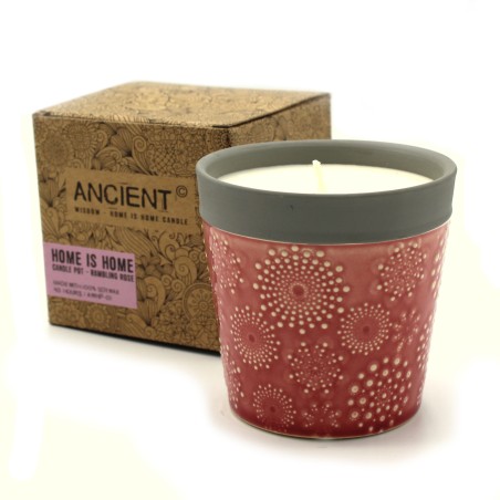 Hogar es Hogar Velas - Rambling Rose  - 3