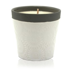 Hogar es Hogar Velas - Forever Vanilla  - 1