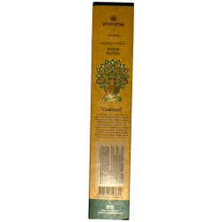 Incenso Magistral Jasmim do País Incenso Aromanza Argentina 8 barras grossas com Resinas Naturais - Gratidão