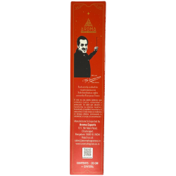 Incienso Onix AROMA Smudge Kit Incienso Crystal - Barritas de incienso con minerales - 1 cajita de 20gr.