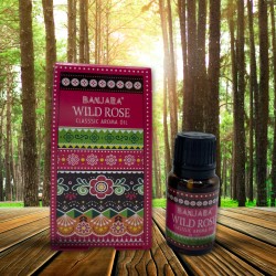 Olio profumato alla rosa canina Banjara 10ml.