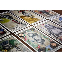 Pisicile de tarot ale Anei Juan - Fournier - 78 Cărți color și broșură de instrucțiuni