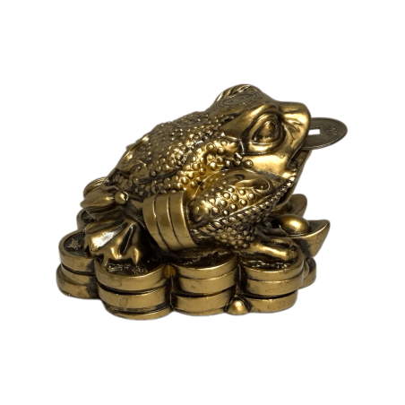 Chan Chu Rijkdom Pad - Geld, Voorspoed en Bescherming - 5,5x5x4cm - Feng Shui Inclusief Munt