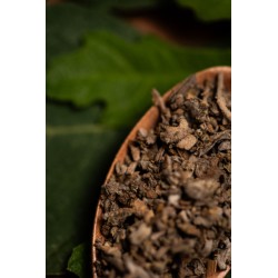 Natural White Sage Incense Holy Mother Connection - Sahumerio 8 thick sticks Organic