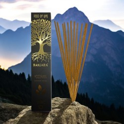 Yggdrasil Encens Arbre BANJARA Arbre de Vie Botanique - Boîte de 15gr. d’Encens Masala