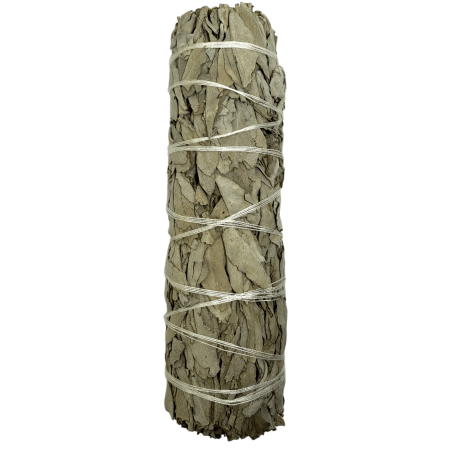 100% Original California White Sage XL Organic & Sustainable Bundle | Reinigung, Energiereinigung & Harmonie | ca. 15cm