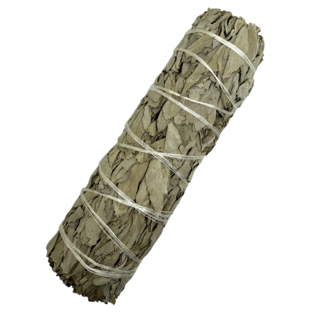 100% Originele California White Sage XL Biologisch & Duurzaam Bundel | Zuivering, Energie Reiniging & Harmonie | 15cm
