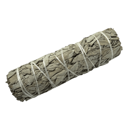 Pachet 100% original California White Sage XL organic și durabil | Purificare, curățare energetică și armonie | 15 cm