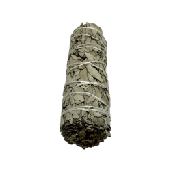 100% Original California White Sage XL Organic & Sustainable Bundle | Purification, Energy Cleansing & Harmony | 15cm