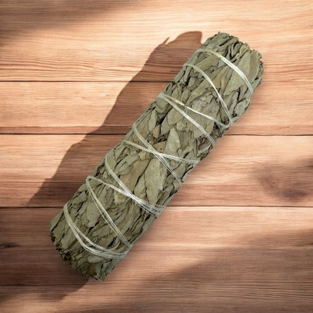 100% Original California White Sage XL Organic & Sustainable Bundle | Reinigung, Energiereinigung & Harmonie | ca. 15cm
