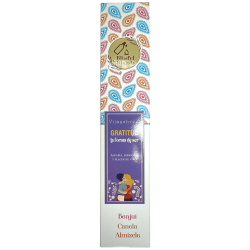Incenso Orgânico Gratitude Blissful Blends Vijayshree Benjoim, Canela e Almíscar - Caixa de 25gr.
