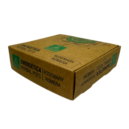 Copos de resina de alecrim, potes de ervas, fragrâncias energéticas AROMA - 4 copos e suporte para queimador - Clareza, proteção