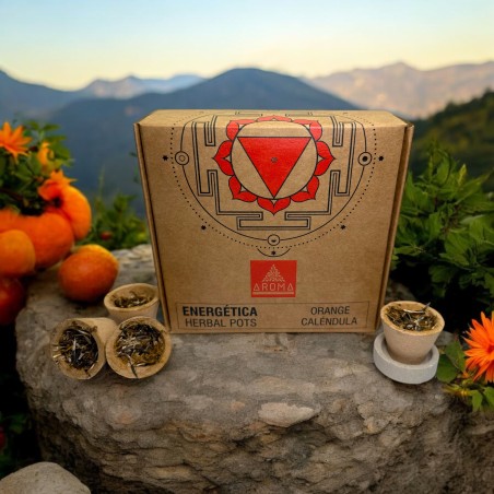 Copos de Resina Laranja, Vasos de Ervas de Calêndula, Fragrâncias AROMA Energéticas - 4 copos e suporte para queimador - Alegria