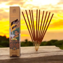 Sri Lankaanse kaneel wierook natuurlijke smudge Himalayan Soul Origins - doos van 25 g