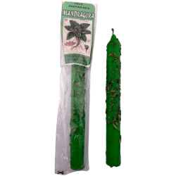 Candela di mandragola ritualizzata da 18 cm:...