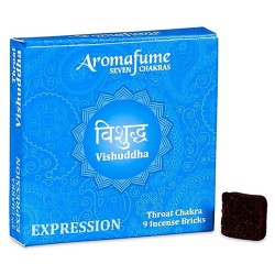 5e Chakra Vishuddha Keelchakra Bakstenen...