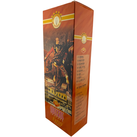 Encens SAC Success - Boîte de 6 paquets hexagonaux de 20 bâtonnets chacun, soit 120 bâtonnets d'encens