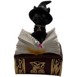 Figura Resina Wicca Gato Brujo en caja -...