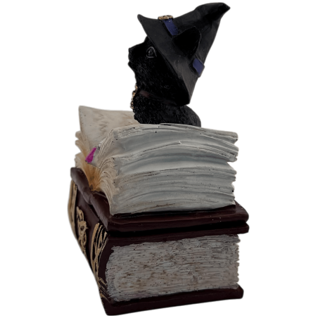 Figurine de chat sorcière Wicca en résine, dans sa boîte - 7 x 5,5 x 11 cm