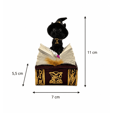 Wicca-Katzen-Hexenfigur aus Kunstharz in Box – 7 x 5,5 x 11 cm