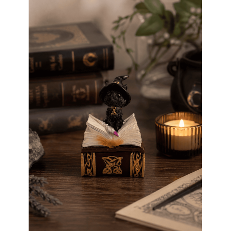 Estatueta de resina de bruxa gata Wicca em caixa - 7x5,5x11cm