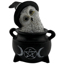 Figurine en résine Hibou Wicca Chaudron Triple...