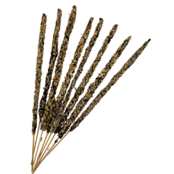 Hostenatura