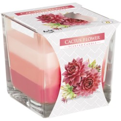 Vela Tarro Arcoíris - Flor de cactus  - 1