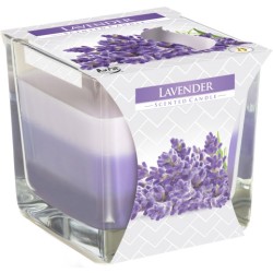 Vela Tarro Arcoiris - Lavanda - Bispol - 8x8x8cm  - 1