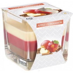 Vela Tarro Arcoíris - Manzana y Canela  - 1