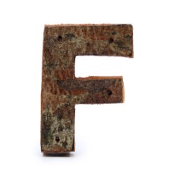 Lettera in corteccia rustica - "F" (12) -...