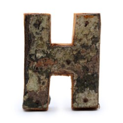 Lettera in corteccia rustica - "H" (12) -...