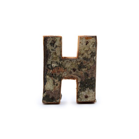 Lettre d’écorce rustique - « H » (12) - Petit 7cm