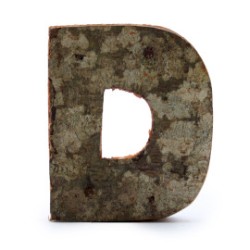Lettera in corteccia rustica - "D" (12) -...