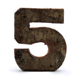 Numero di corteccia rustica - "5" (12) -...