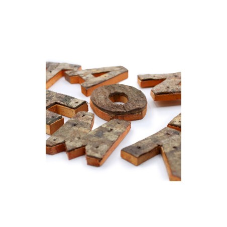 Rustic Bark Color Letters - HOME (4x3)
