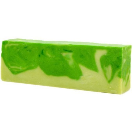 Barra de Jabón de Aloe Vera 1,25kg