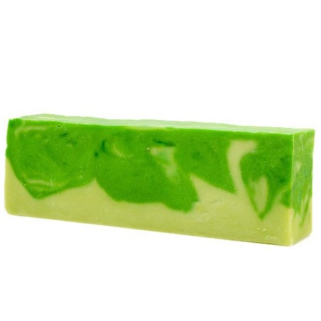 Barra de Jabón de Aloe Vera 1,25kg