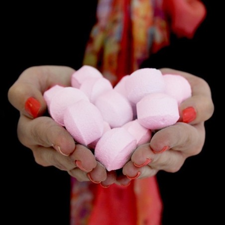 Minipompen van 1,3 kg - Roze